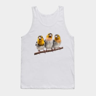 Three Finches on a Branch Tank Top